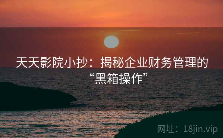 天天影院小抄：揭秘企业财务管理的“黑箱操作”