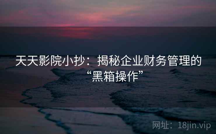 天天影院小抄：揭秘企业财务管理的“黑箱操作”