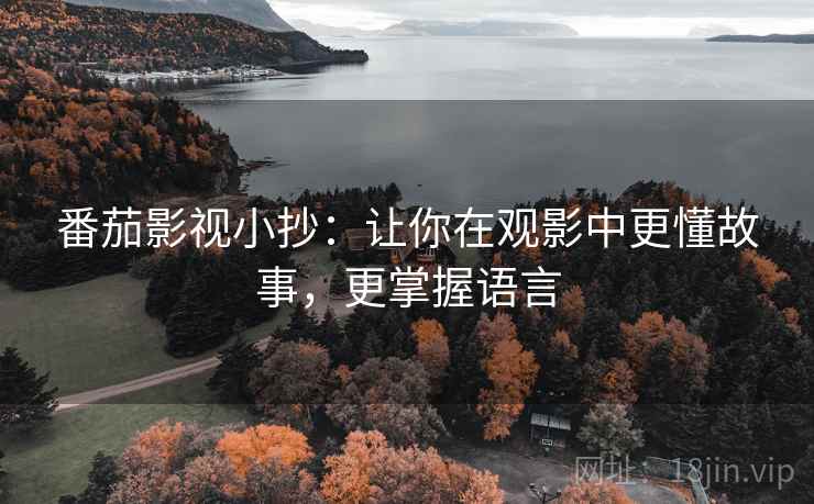 番茄影视小抄：让你在观影中更懂故事，更掌握语言