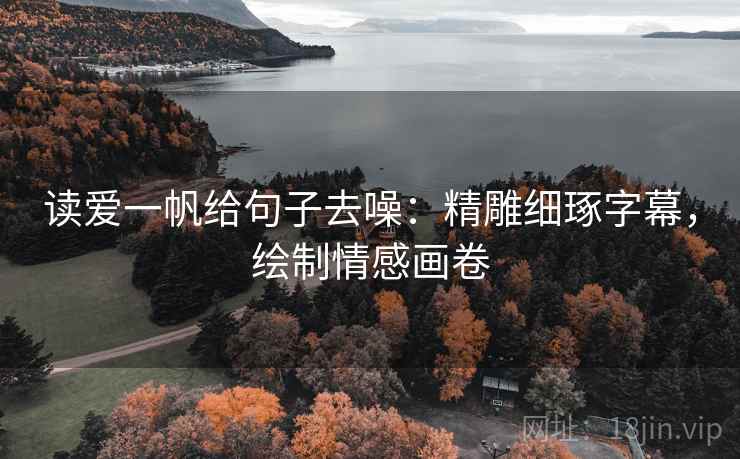 读爱一帆给句子去噪：精雕细琢字幕，绘制情感画卷
